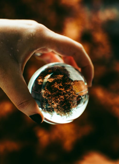 Free Person Holding Lensball Stock Photo
