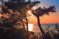 克罗地亚海面上，树木的轮廓映衬着迷人的日落