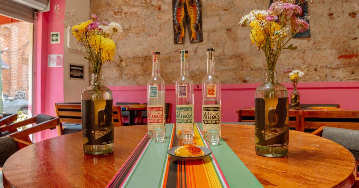 Les Meilleures Liqueurs Artisanales à Déguster