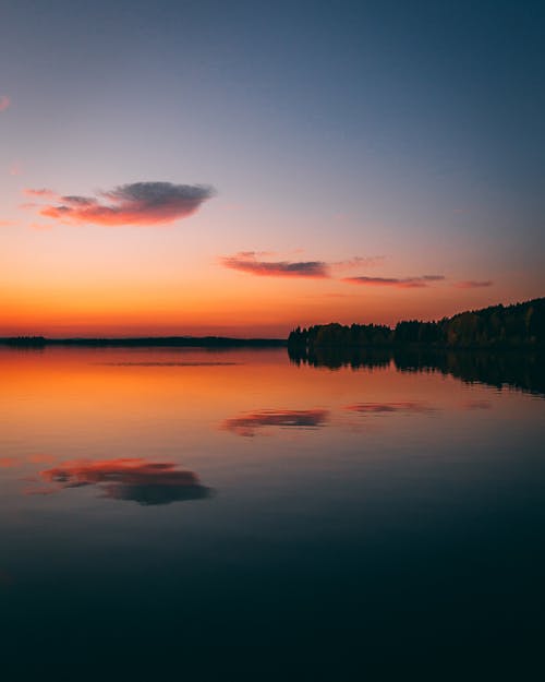 Free Silhouette of Trees Near Body of Water During Sunset Stock Photo