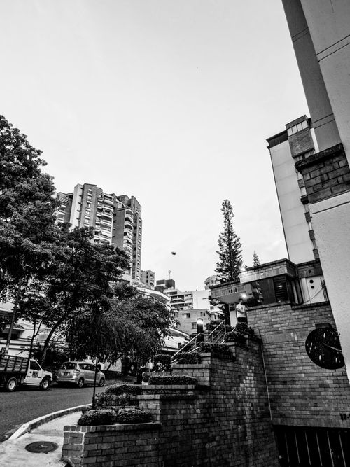 Free A scenic urban view of Bucaramanga with modern buildings and lush trees in black and white. Stock Photo