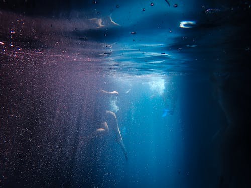 Gratis lagerfoto af dykke, folk svømmer under vandet, hav