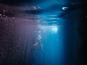 引人入胜的水下场景展示了潜水员在神秘、怪异的蓝色氛围中的情况