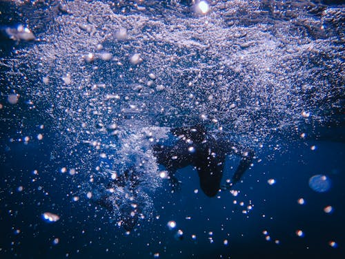 Underwater Photography Of Person In Water