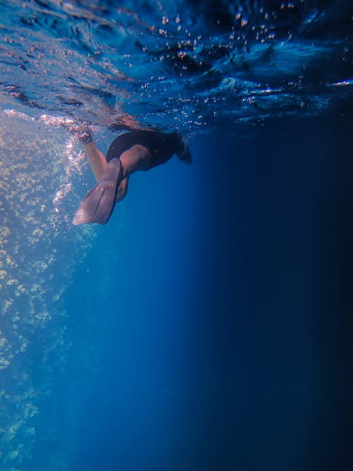 Free Person Swimming In Body Of Water Stock Photo
