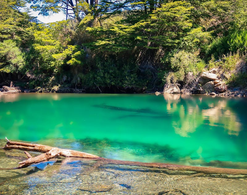 Процент возвратов блюд
