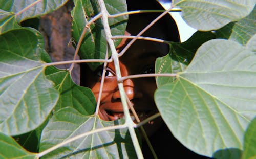 Улыбающийся человек прячется на зеленом растении