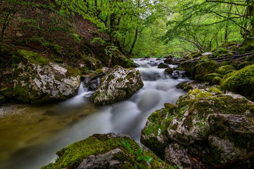 Moss Covered Rocks Beside River