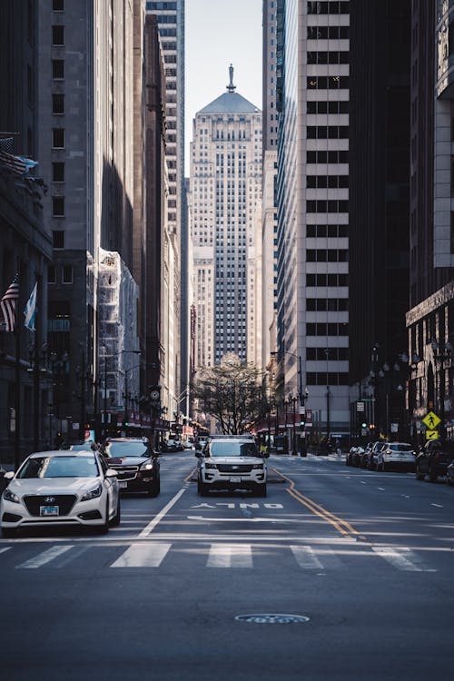 Free Vehicles on Road Near Buildings Stock Photo