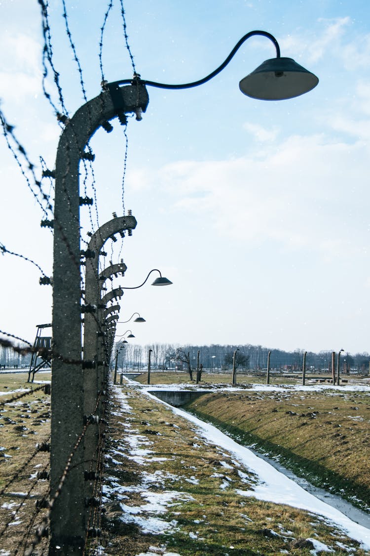 Steel Fences With Lamps In Auschwitz