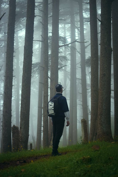 Man in Black Jacket Standing in Forest