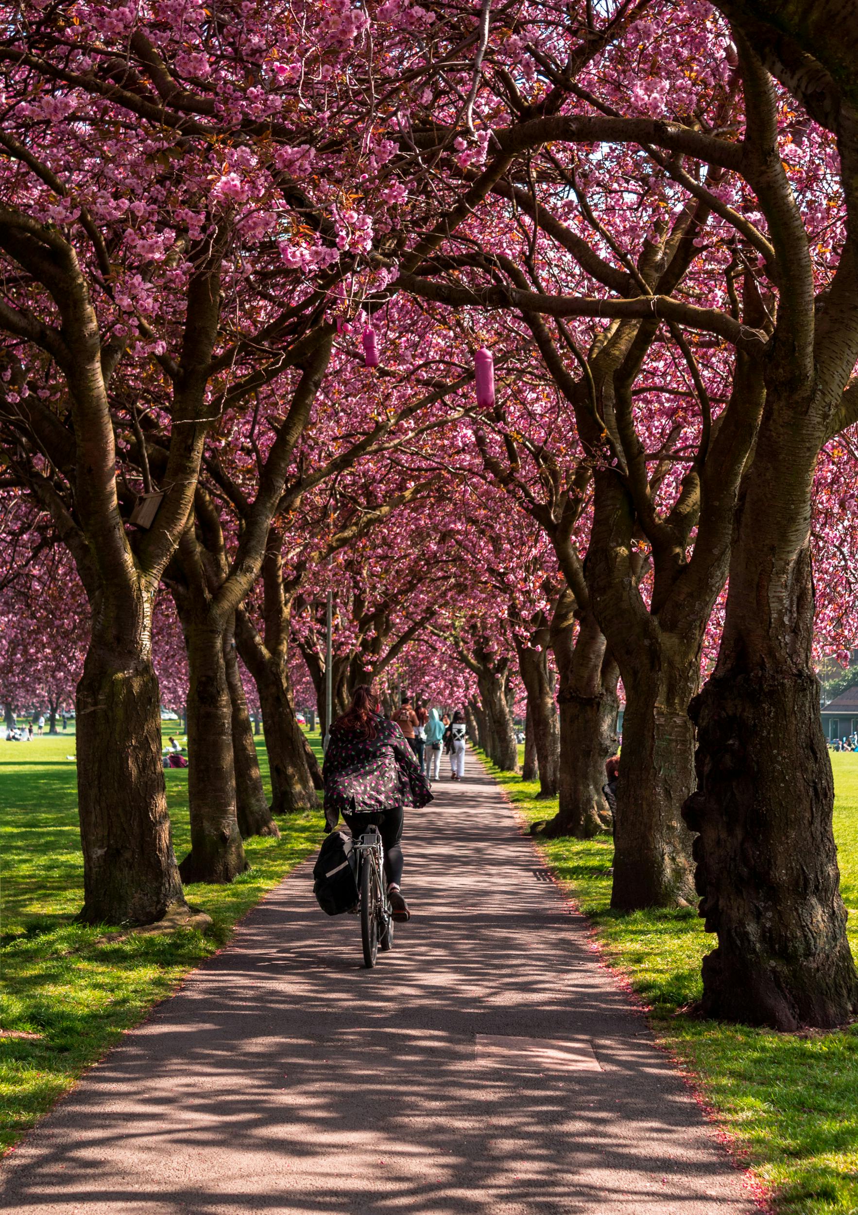 ข้าวผัดทะเล