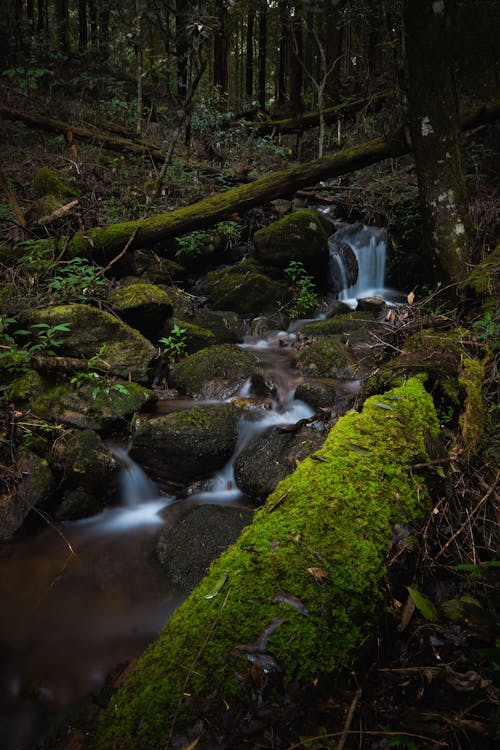 "Just go with the flow, like this waterfall "