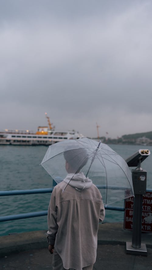 arkadan görünüm, bakmak, deniz aracı içeren Ücretsiz stok fotoğraf