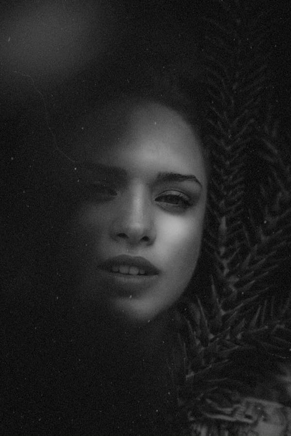 Living room with windows