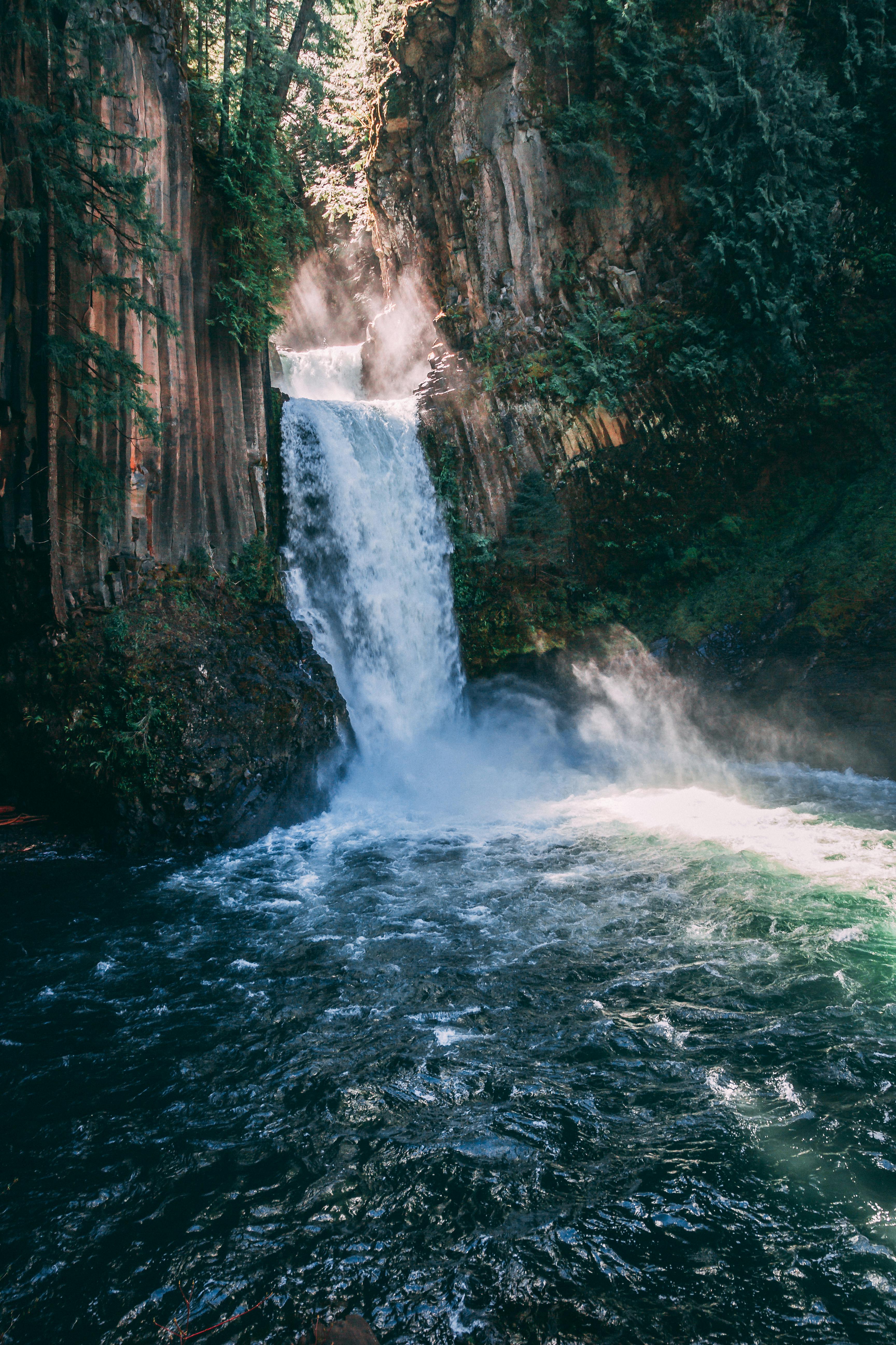 Waterfalls Surrounded With Trees and Grasses