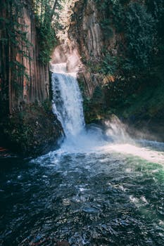迷人的瀑布倾泻入宁静的森林水池，对自然爱好者来说非常适宜