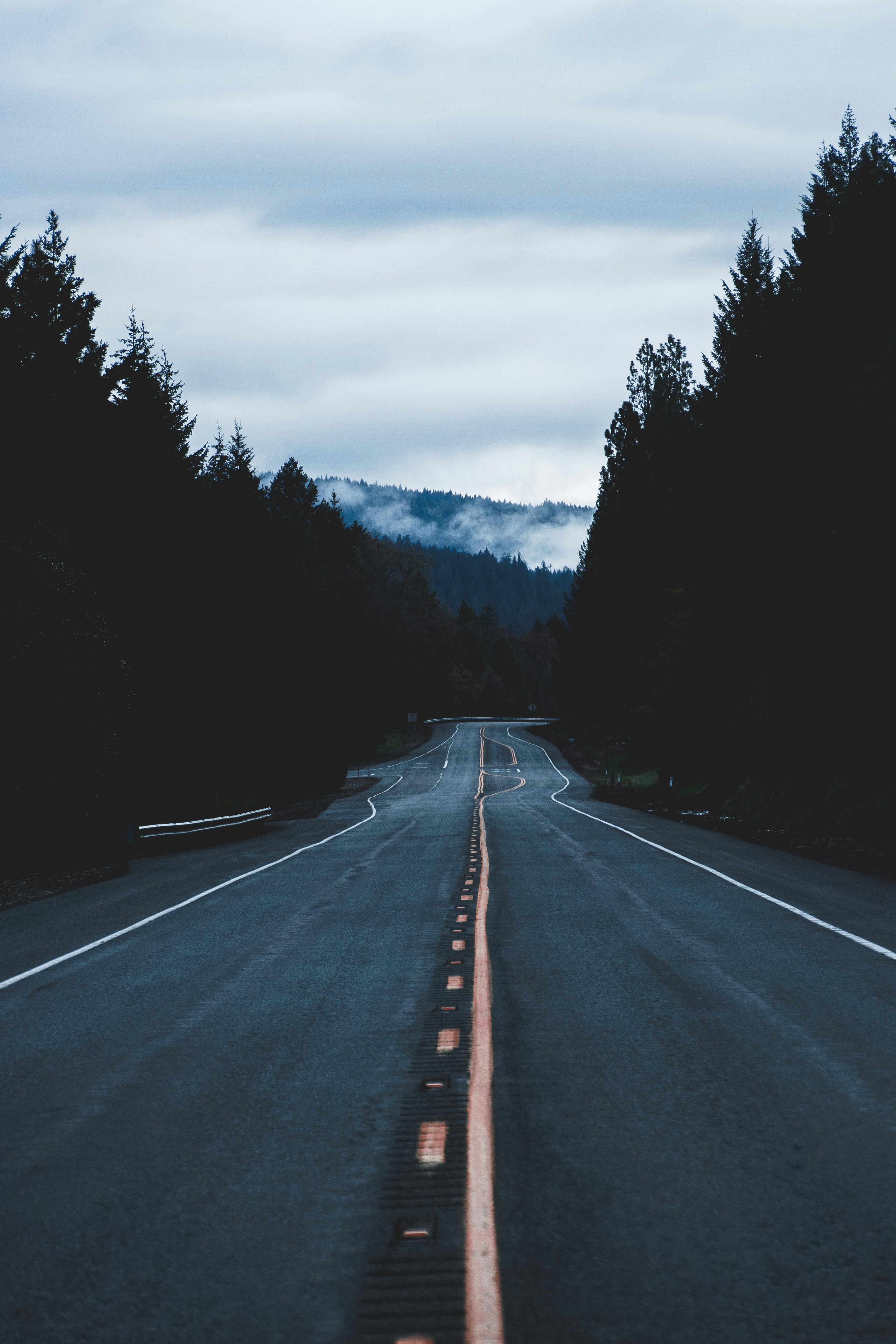 asphalt road pathway scenery