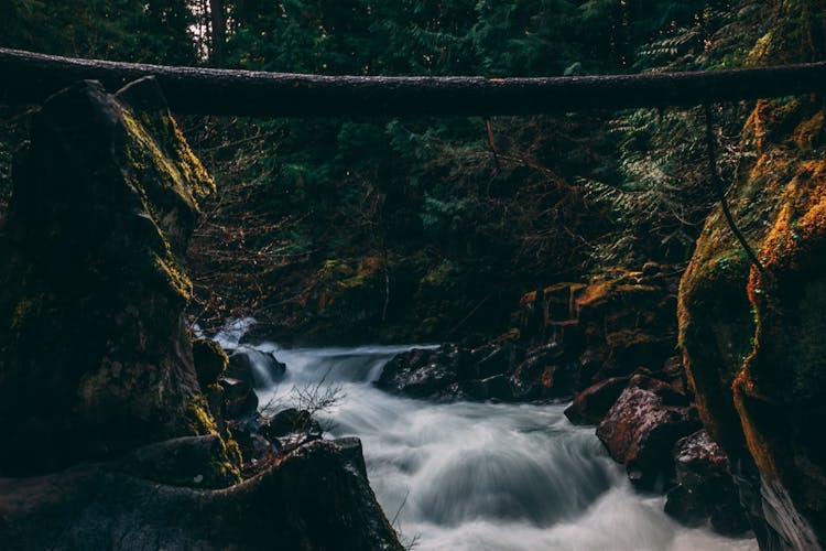 Scenery Of Water Falls