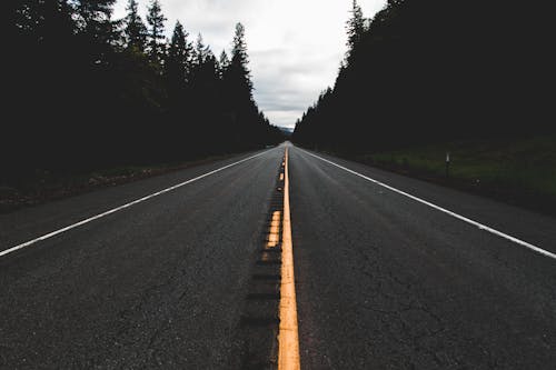 Free Black Asphalt Road Between Trees Stock Photo