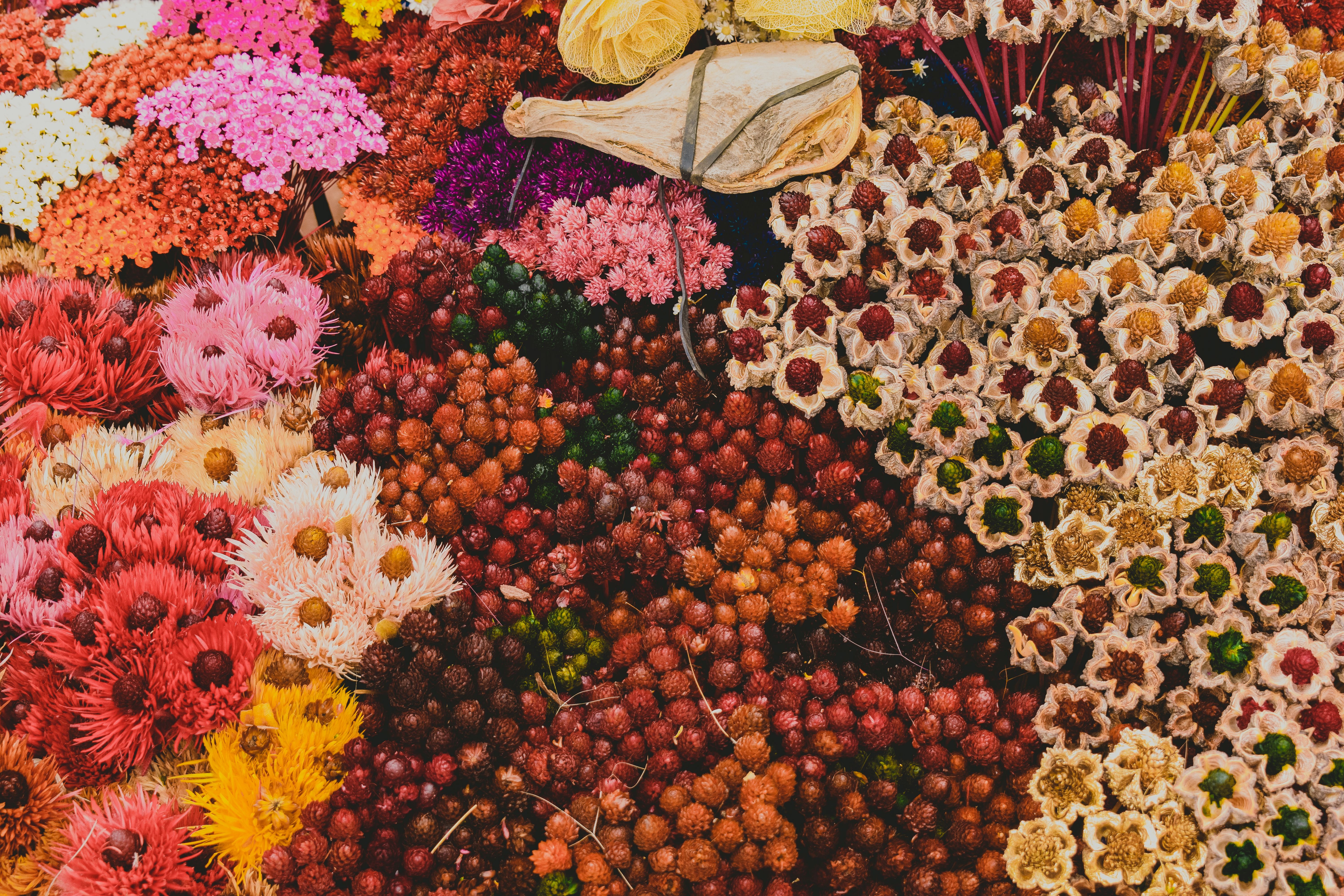 Fleurs séchées et compositions naturelles dans un atelier