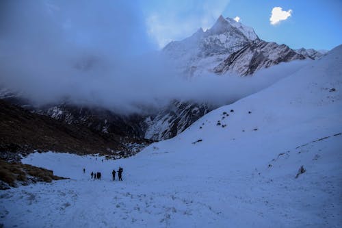 Frozen Mountains