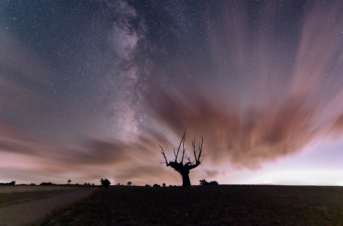 Via Lactea En Brihuega, 瓜達拉哈拉