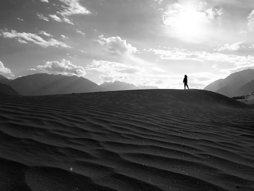 Sand dunes of nubra valley ladakh