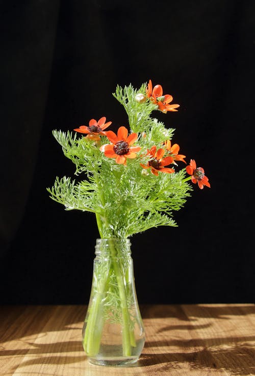 An orange flower in a glass vase on a table