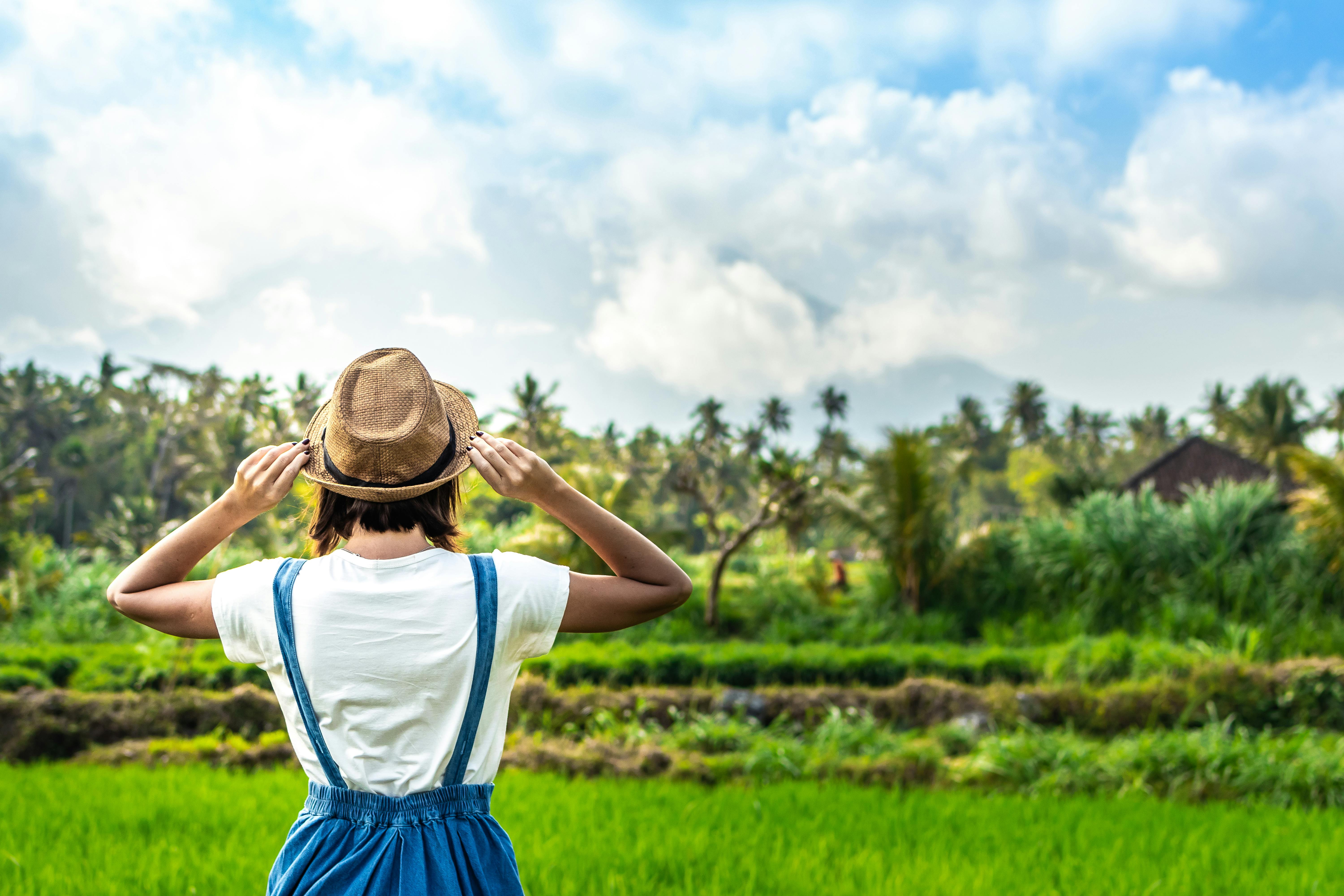 Foto stok gratis tentang alam, awan, badan