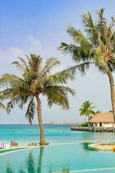 A picturesque view of palm trees by the turquoise waters in a Maldives resort.