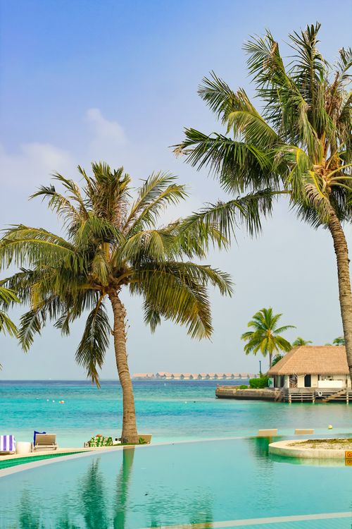 Free A picturesque view of palm trees by the turquoise waters in a Maldives resort. Stock Photo