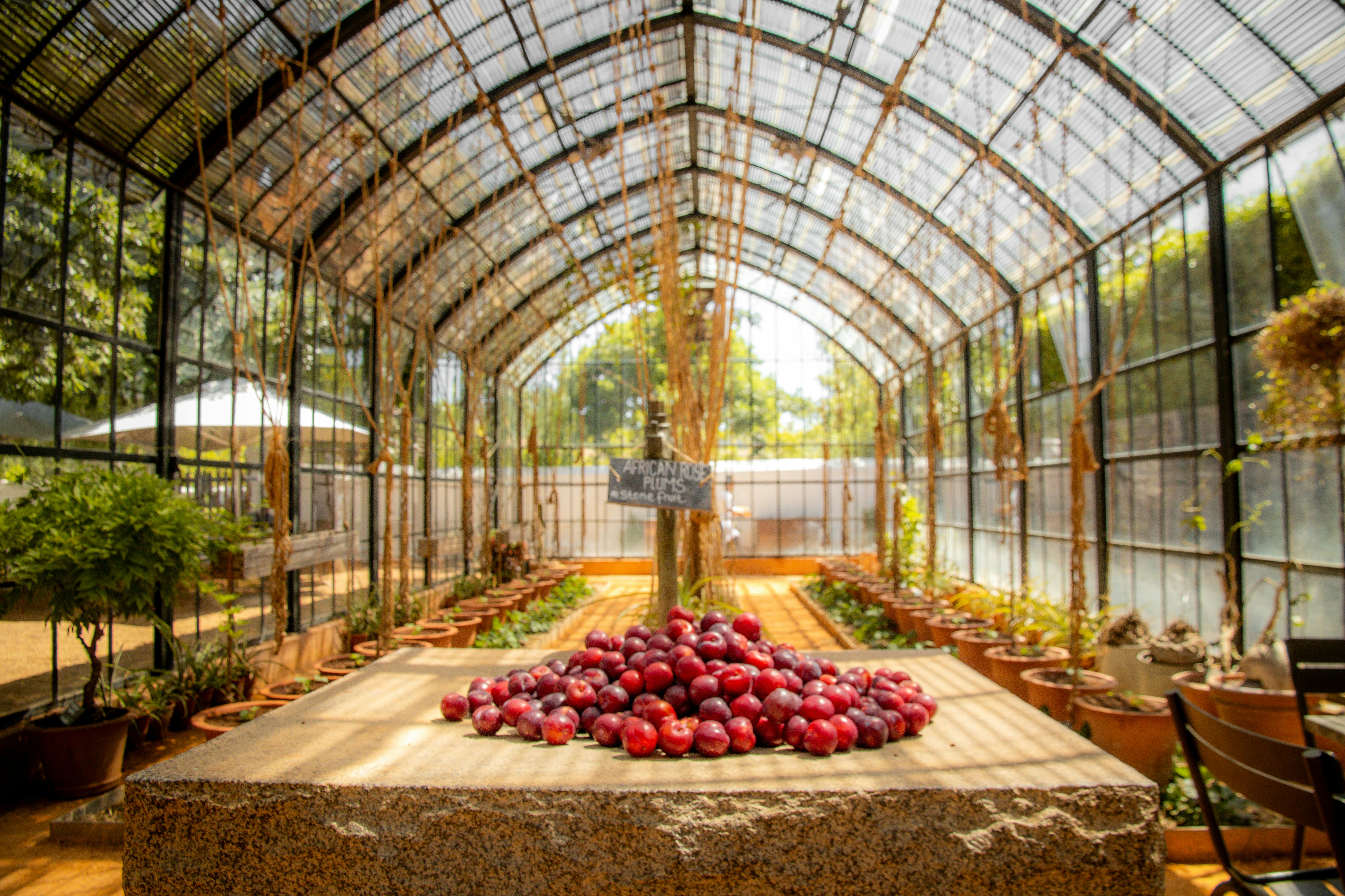 Landmarks in Franschhoek