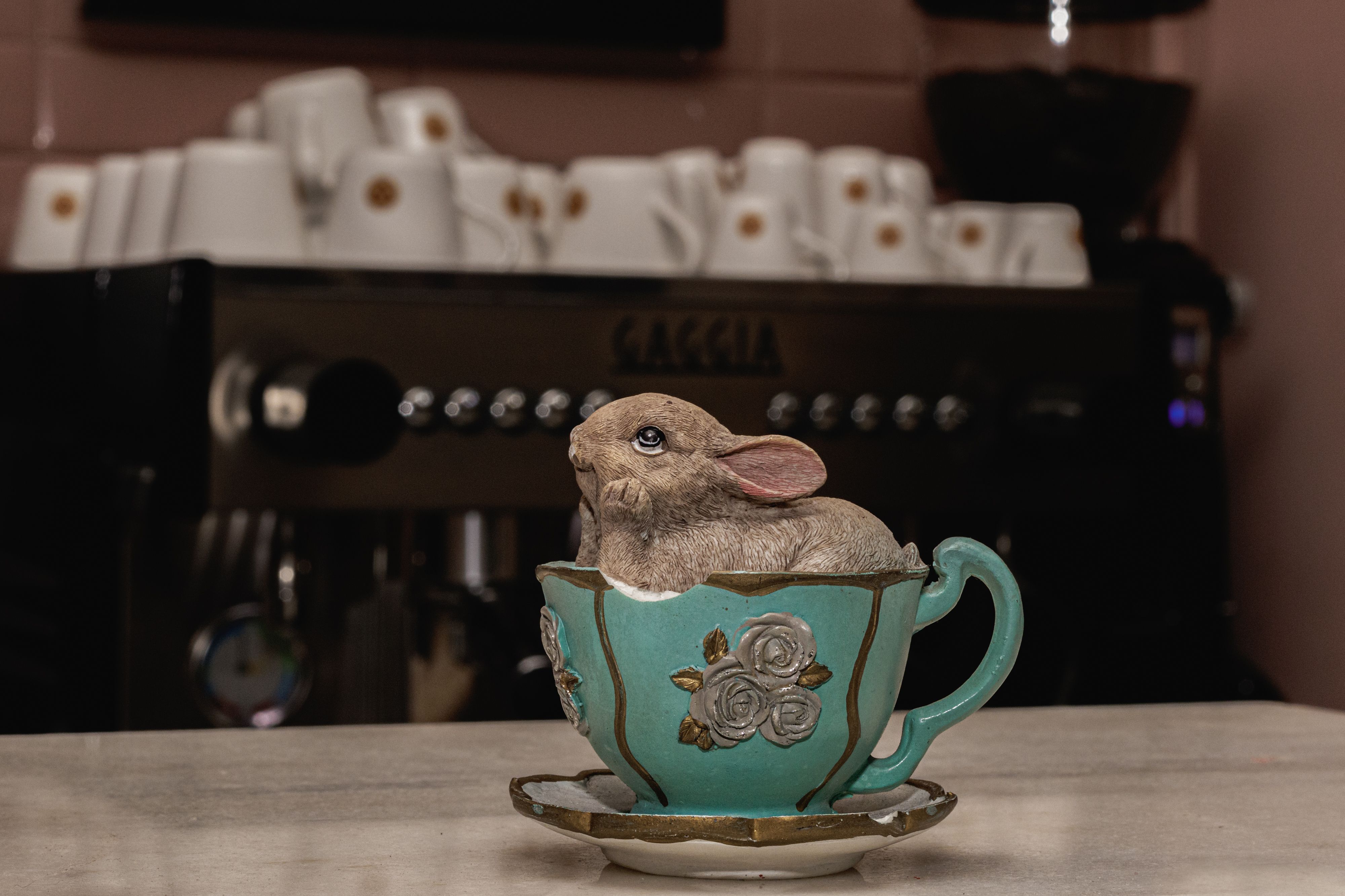 A small rabbit sitting in a teacup on a counter · Free Stock Photo