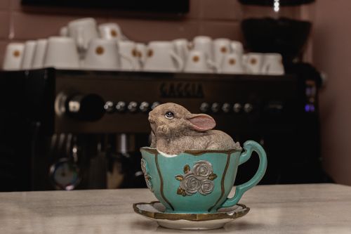 Free Close-up of a cute rabbit figurine placed in an ornate vintage teacup, creating a whimsical still life scene. Stock Photo