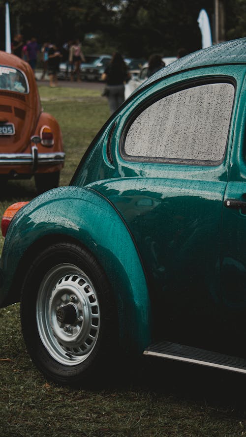 Základová fotografie zdarma na téma auto, automobilový, čelní sklo