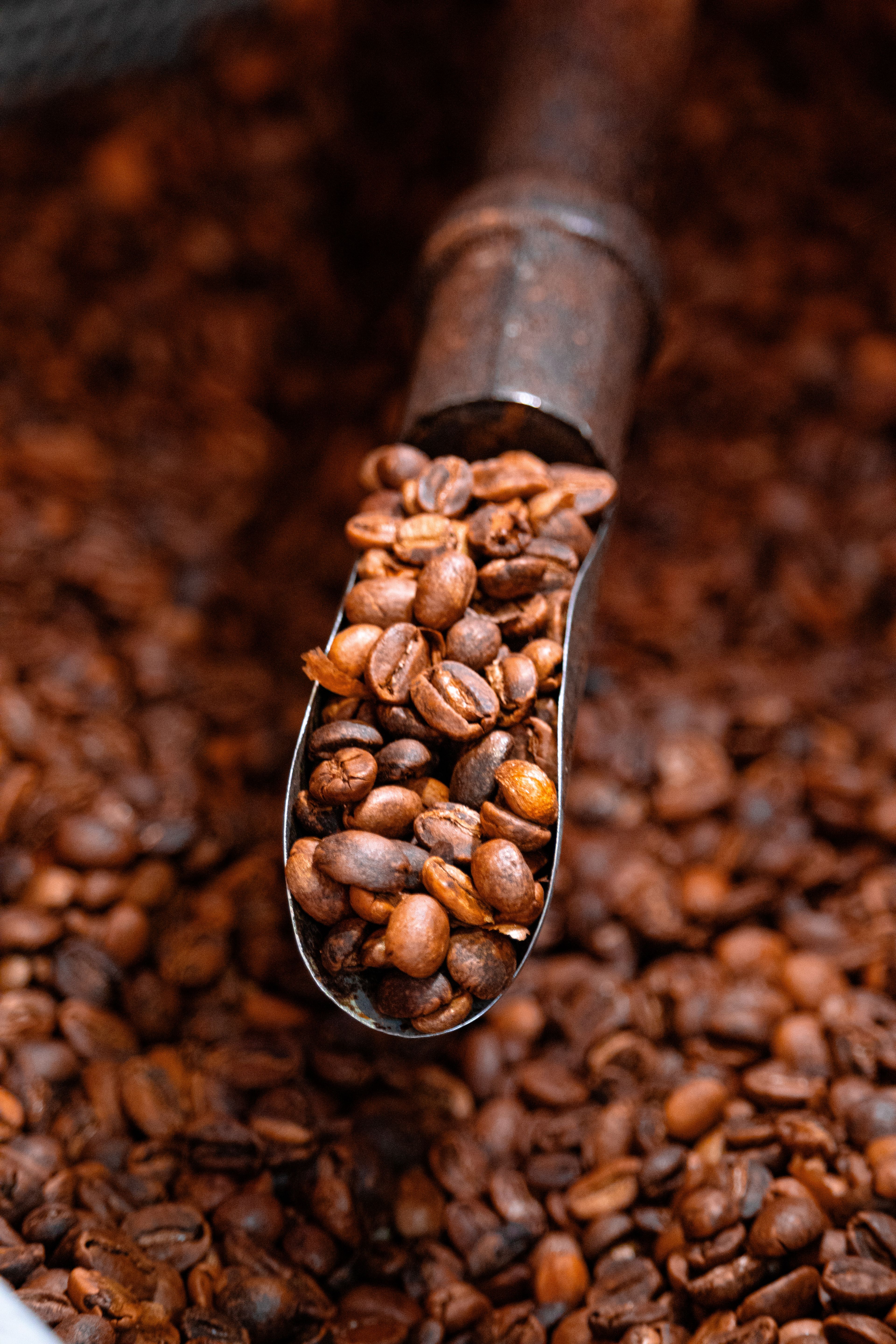 Kenya, Nyeri Gichathaini