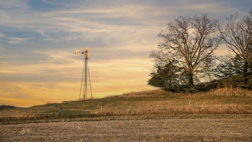 Gratis stockfoto met boerderij, boom, dageraad