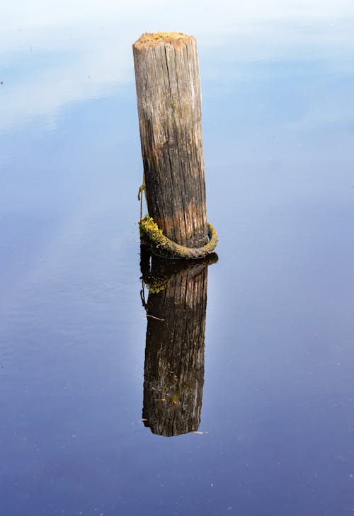 A wooden post in the water with a reflection