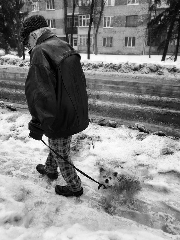 Professional Dog Walking Services in Dartford