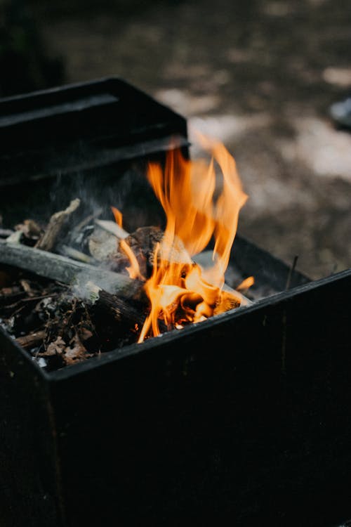 キャンプ, キャンプファイヤー, たき火の無料の写真素材