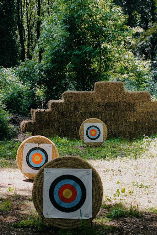 Archery target set up in the woods