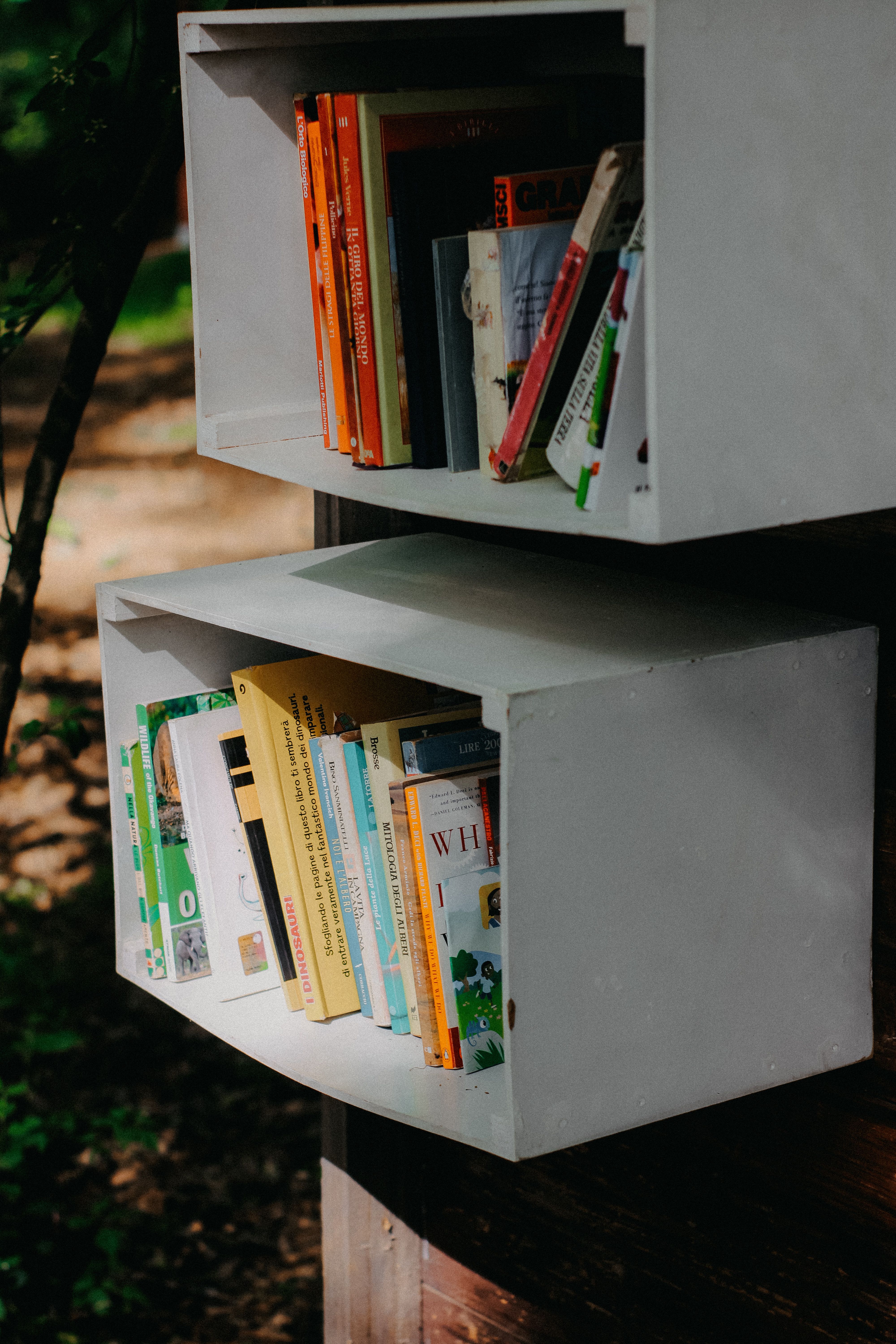 Books placed in minimalist outdoor wall-mounted shelves set against a natural background.