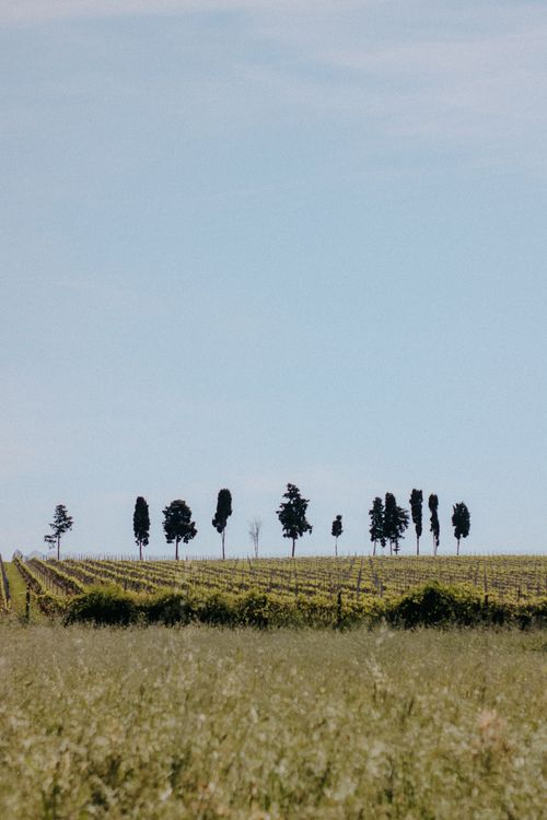 Free A rural landscape with farmland, trees, and a blue sky, perfect for nature themes. Stock Photo