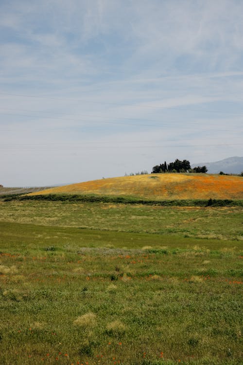 乾草地, 夏天, 山丘 的 免費圖庫相片