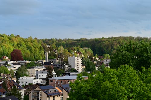 Darmowe zdjęcie z galerii z drzewa, dzielnica mieszkaniowa, fotografia krajobrazowa