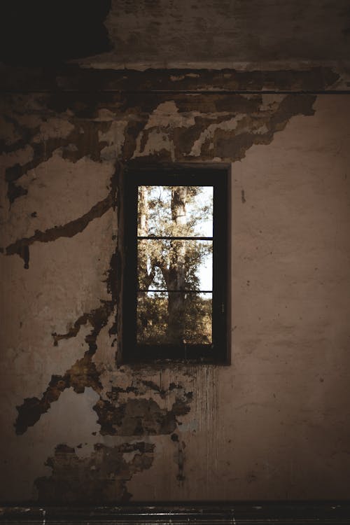 A window in an old building with a tree in the background