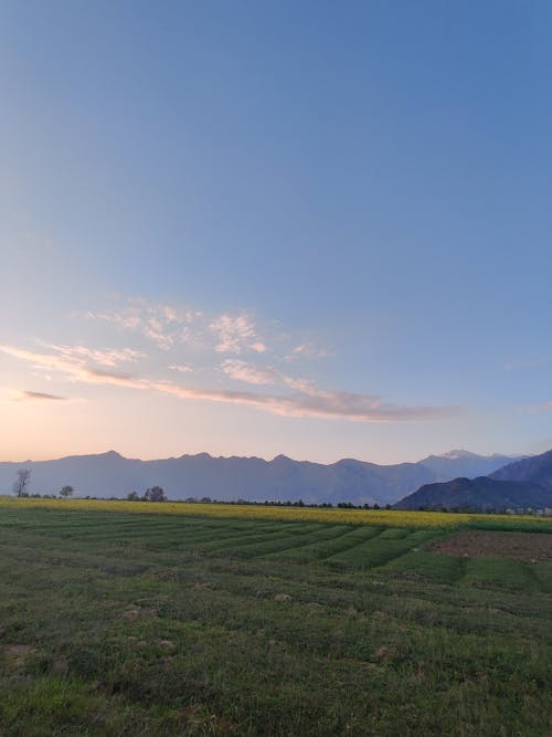 A field with mountains in the background at sunset