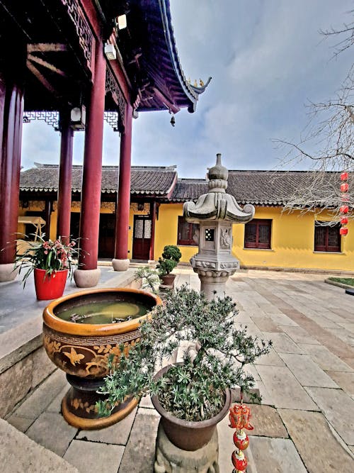 bonzai, 고요함, 불교 사원의 무료 스톡 사진