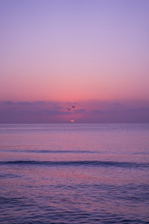 Красивый восход солнца у моря